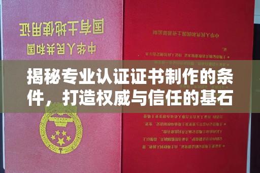 丰城揭秘专业认证证书制作的条件，打造权威与信任的基石